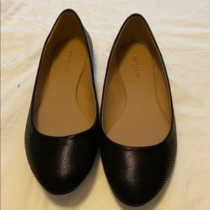 Never Worn Ann Taylor size 8 flats